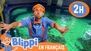 Blippi visite un aquarium (Ody Aquarium)  | Blippi en français | Vidéos éducatives pour enfants