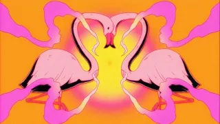 Flamingosis - Nebula Gazer (Visualizer)