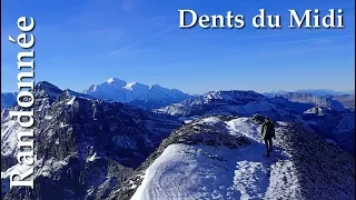 Randonnée Alpine - Dents du Midi  -  Haute Cîme 3257 m