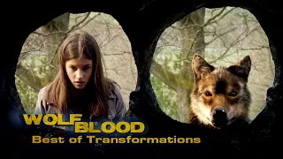 Best of Transformations 2.0 🐺❤ | Special | Wolfblood