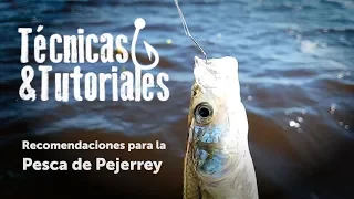 Técnicas y Tutoriales de pesca - Recomendaciones Para la pesca de Pejerrey - Brazoladas