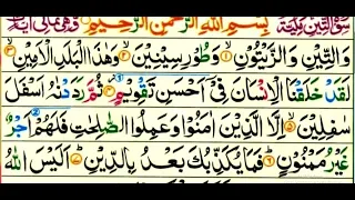 Surah At-Tin Full