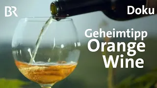 Vier Farben Wein:  So wird der Orange Wine im Friaul hergestellt | freizeit | Doku | BR