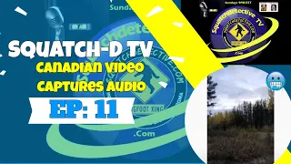 👉 Bigfoot - Canadian Video / Audio - Squatch-D TV Ep. 11