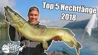 Unsere TOP 5 HECHTE aus der Saison 2018/19 // Highlight-Video