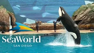 SeaWorld San Diego - May 2019