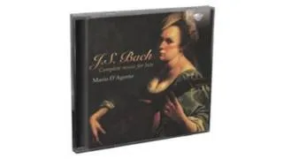 J.S. Bach - Complete Music for Lute  Brilliant Classics  2CD  94408