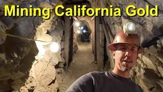 Mining California Gold