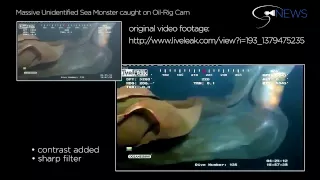 Unidentified Sea Monster on Oil-Rig Cam | Live