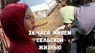 24 часа живем сельской жизнью!