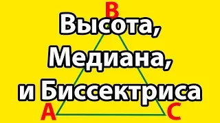 Что такое высота, медиана и биссектриса треугольника