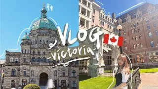 🇨🇦𝐕𝐋𝐎𝐆 British city in Vancouver Island！afternoon tea☕️ Travel to Victoria🍁