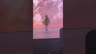 Billie Eilish Happier than Ever Live with the LOUDEST CROWD in the background