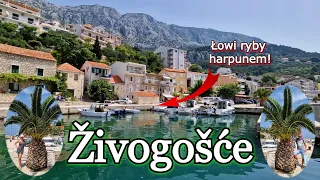 Jedziemy do Živogošće CHORWACJA 2023 Plaża Porat Riviera Makarska Ceny Apartamenty Croatia Vlog