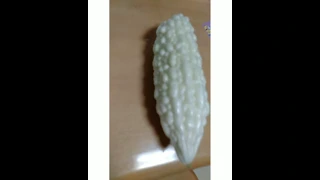 Ampalayang Puti | White Bitter Gourd | Albinong Gulay #shorts #trending