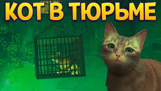 КОТ ЖИВЕТ В ТЮРЬМЕ ( Stray )