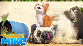 MIGHTY MIKE 🐶 Feline a little Racoon 🤪 Episode 13 - Full Episode - Cartoon Animation for Kids