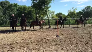 U S  Border Patrol Horse Patrol