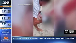 Shark bites swimmer off South Beach