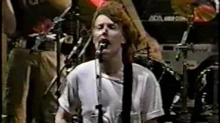 Traffic - Dear Mr. Fantasy - 7/29/94 Buckeye Lake Music Center