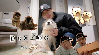 Maddox(마독스) - DOXLOG EP.42ㅣJOY🐶의 수제 간식에는 무슨 일이 생겼을까?🤔