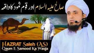 Hazrat Saleh (As) Qaum E Samood Ka Waqia  | Mufti Tariq Masood