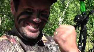 Minnesota bear hunt 2021