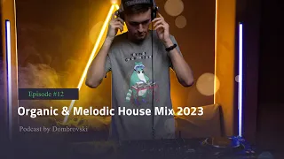 Dombrovski - Organic & Melodic House Mix 2023