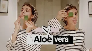 7 USOS DEL MÁGICO ALOE VERA!