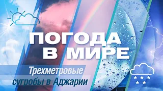 Погода в мире от 18 февраля 2023