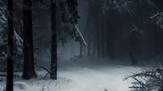 "Путешествие сквозь Тёмный лес🏞️" ¦¦ мелодия: Hijo de la luna ¦¦ Сын Луны🌘