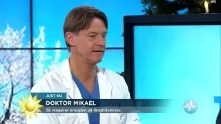 Doktor Mikael: "Stress inte farligt - om du får tid till återhämtning" - Nyhetsmorgon (TV4)