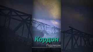 S.T.A.L.K.E.R - Кордон. Рассказчик Сидорович