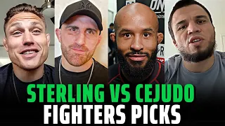 UFC 288: Aljamain Sterling vs. Henry Cejudo fighters picks