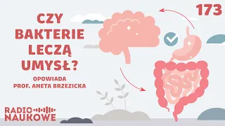 Psychika a mikrobiota - czy jelita to naprawdę drugi mózg? | prof. Aneta Brzezicka