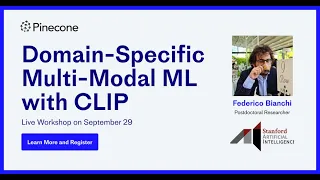 Domain-Specific Multi-Modal Machine Learning with CLIP