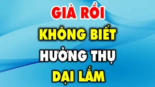 Già rồi không biết hưởng thụ 4 thứ này dại lắm - Triết Lý Cuộc Sống