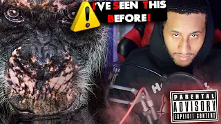 The Casual geographic Reaction that got me Cancelled! (Terrifying Truth About Chimps)