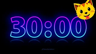 ⚡ Electric Timer ⚡ 30 minute Countdown with Music