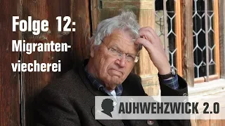 Auwehzwick 2.0 Folge Folge 12 - Migrantenviecherei