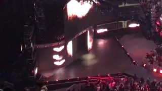 4/5/2019 WWE NXT Takeover New York (Brooklyn, NY) - NXT Women's Champion Shayna Baszler Entrance