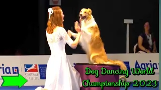 Dog Dancing World Championship 2023 Anastasiia Beaumont and border collie Yuki🤔