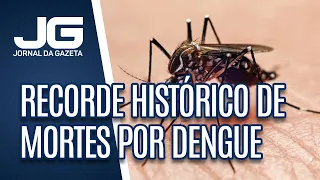 Brasil bate recorde histórico de mortes por dengue em 2024