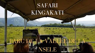 Kingakati, safari au parc de la vallée de la Nsele.