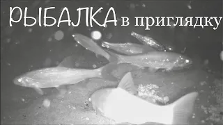 Рыбалка в приглядку Сравнение подводных камер ЯЗЬ-52 и Калипсо прямо на рыбалке в Якутии