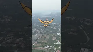 Vietnam Kite Flying 🪁 #kite #saranggola #youtubeshorts