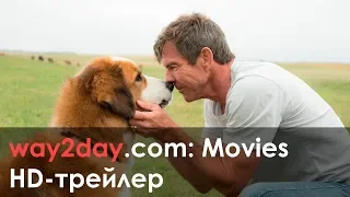 Собачья жизнь – Русский трейлер 2017, HD