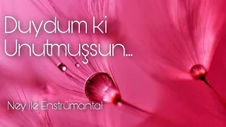 Duydum ki Unutmuşsun | Ney ile Instrumental #ney dinletisi