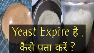 घर पर रखी Yeast खराब है या ठीक कैसे पता करें।How to check Yeast is still Active | How To Proof Yeast