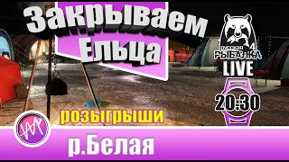 Закрываем Ельца на Белой (Русская рыбалка 4)